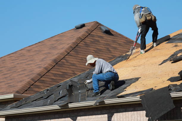 Professional Roofing services in Martinez, GA